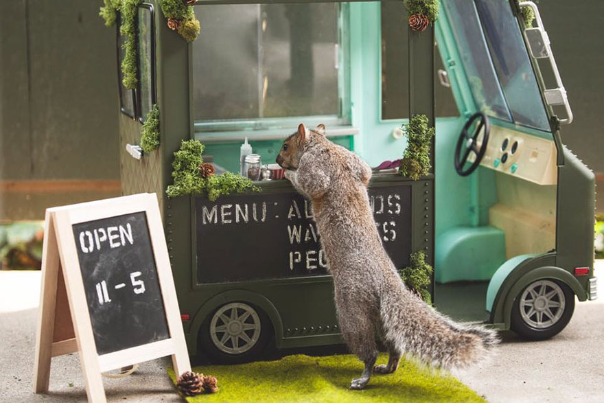 squirrel-parties-ashly-deskins-photography-22