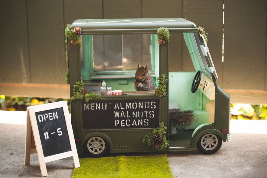 squirrel-parties-ashly-deskins-photography-23 squirrel-parties-ashly-deskins-photography-23