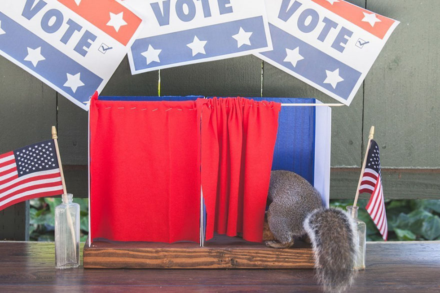 squirrel-parties-ashly-deskins-photography-24