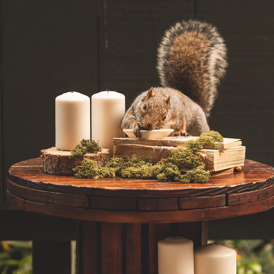 squirrel-parties-ashly-deskins-photography-4