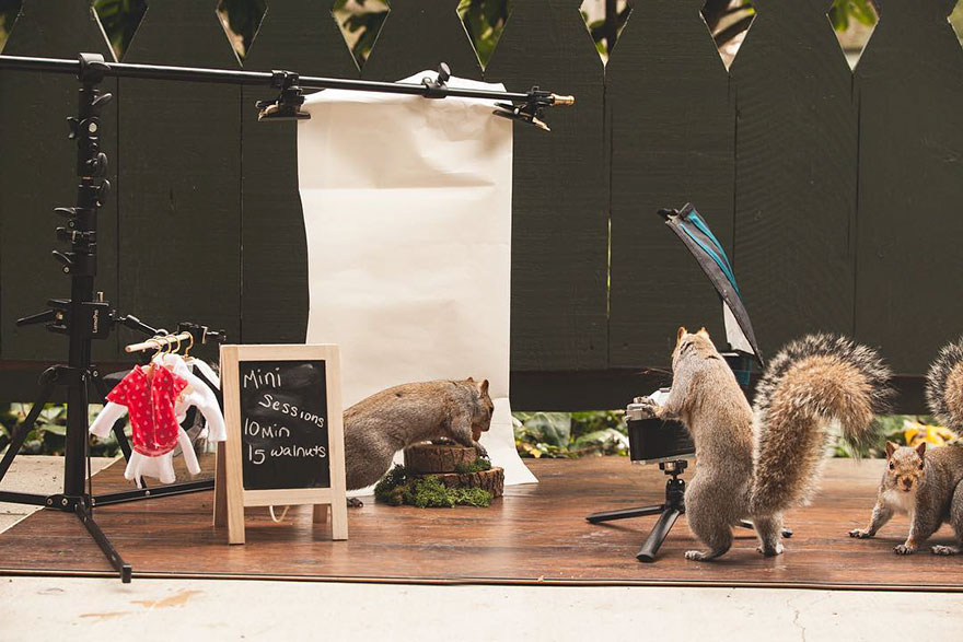 squirrel-parties-ashly-deskins-photography-9