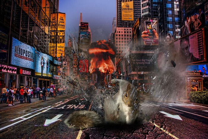 Cool Squirrels Don't Look At Exploisions