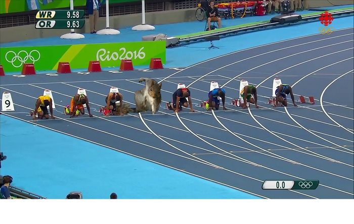 Run Squirrel, Run!