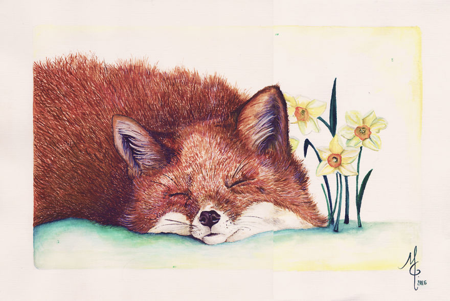 Watercolor Animals By Illustrations Of Dreams