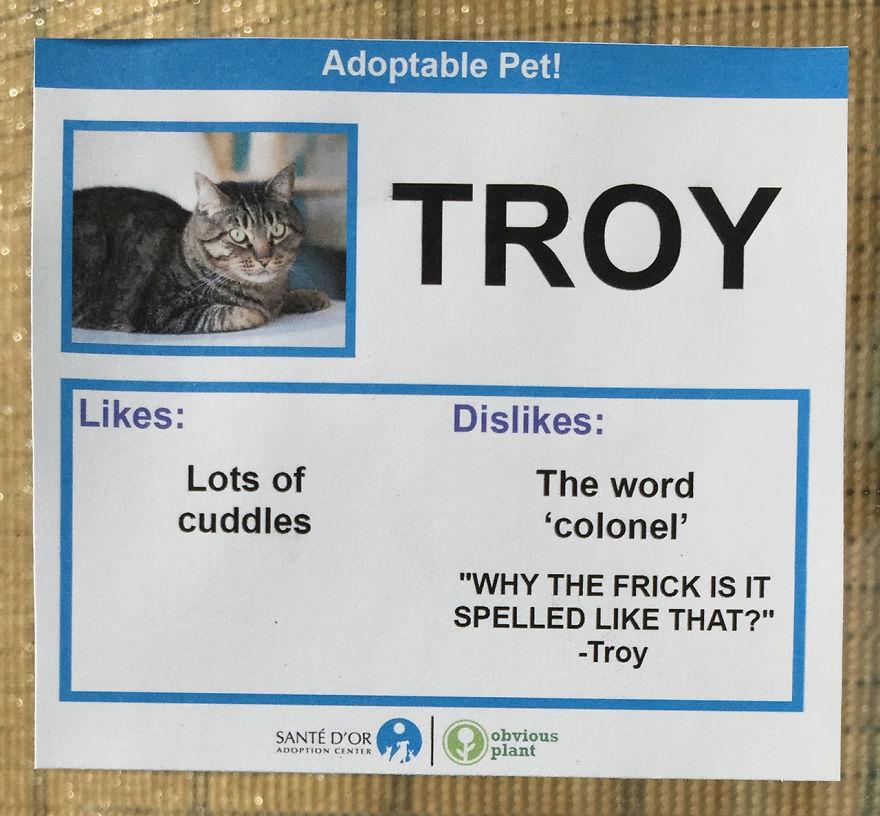Troy