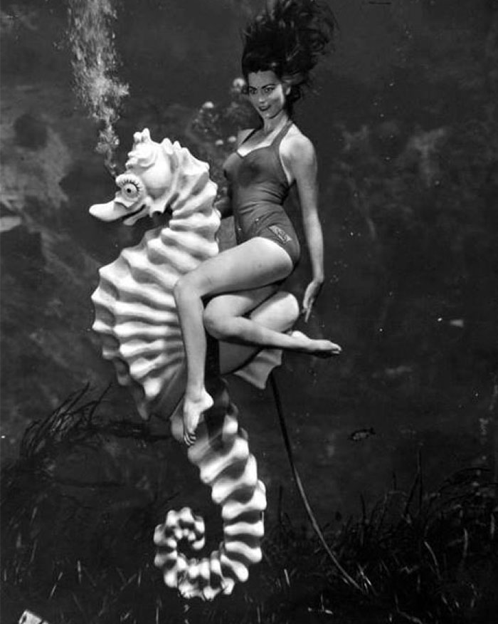 Underwater Pinups Photography