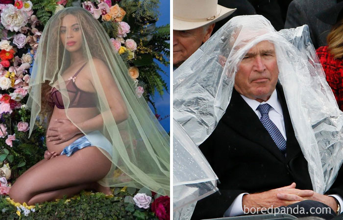 Beyonce Or George W. Bush?
