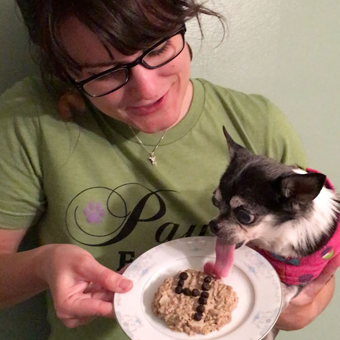 woman-brings-home-senior-dog-24-hours-jay-z-16 woman-brings-home-senior-dog-24-hours-jay-z-16