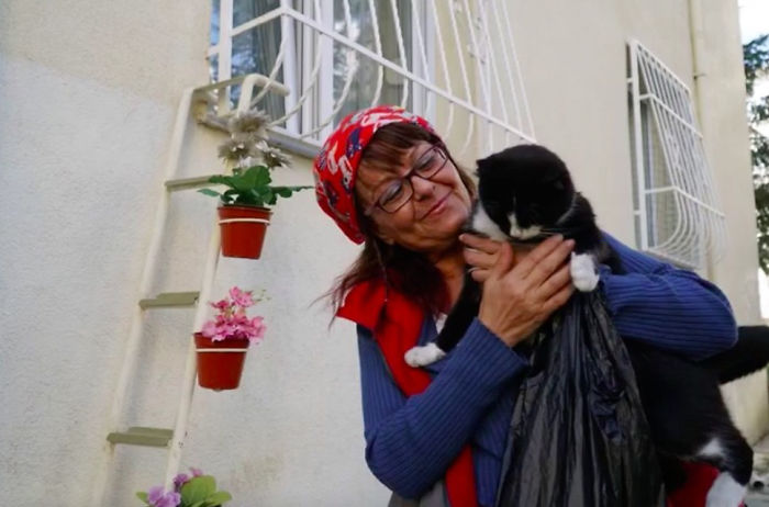 This Woman Built A "Cat Ladder" For Strays So They Could Come In When It's Cold Outside This Woman Built A "Cat Ladder" For Strays So They Could Come In When It's Cold Outside