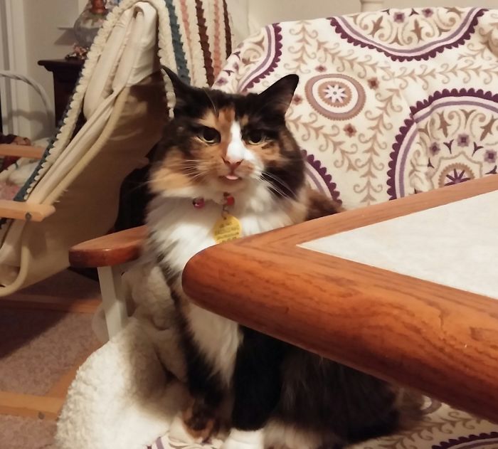 What Are You Looking At?