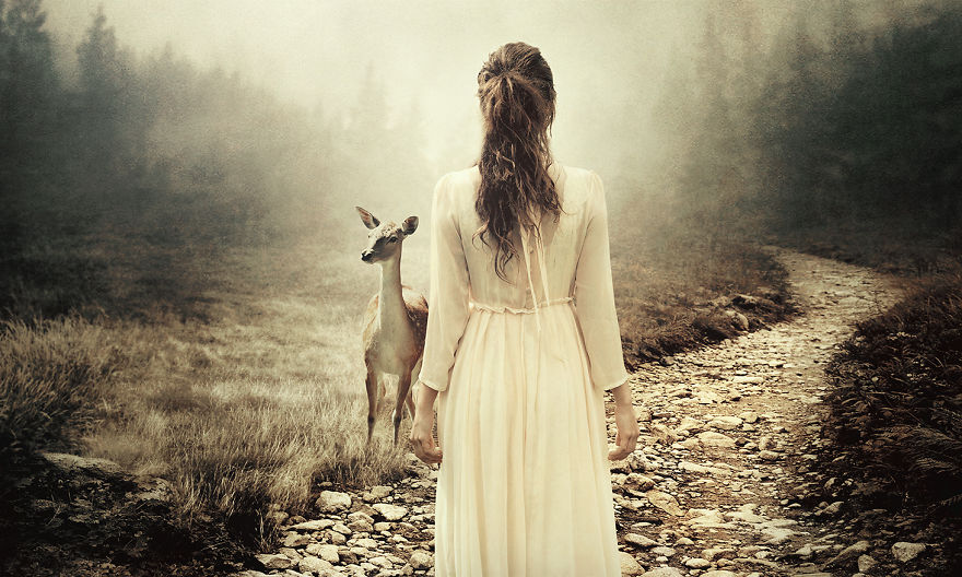 How I Turned Rescued Wild Animals Into Art