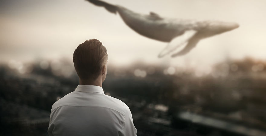 How I Turned Rescued Wild Animals Into Art