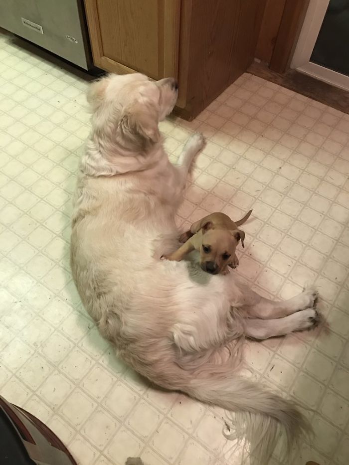 Theres One Over Here Too Argh