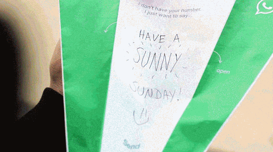 We Decided To Surprise People In The Park With Our Social Planes