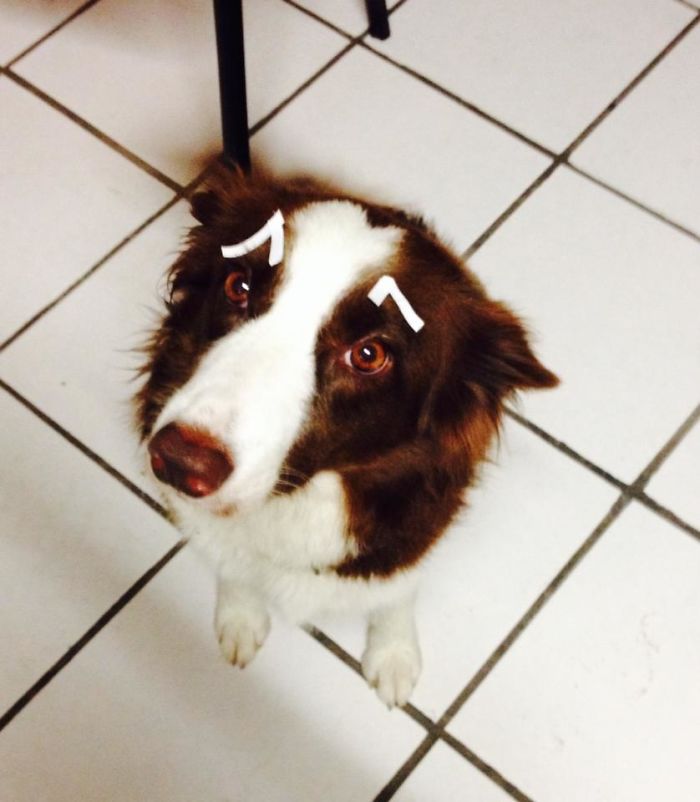 She Doesnt Understand Whats So Funny About It