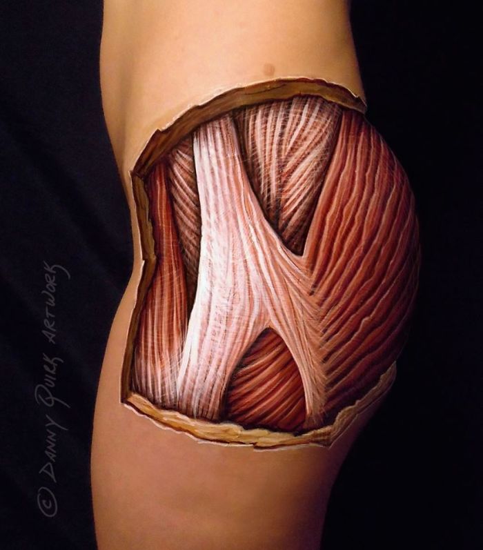 Realistic Anatomical Paintings Reveal The Structures That Lie Beneath Our Skin
