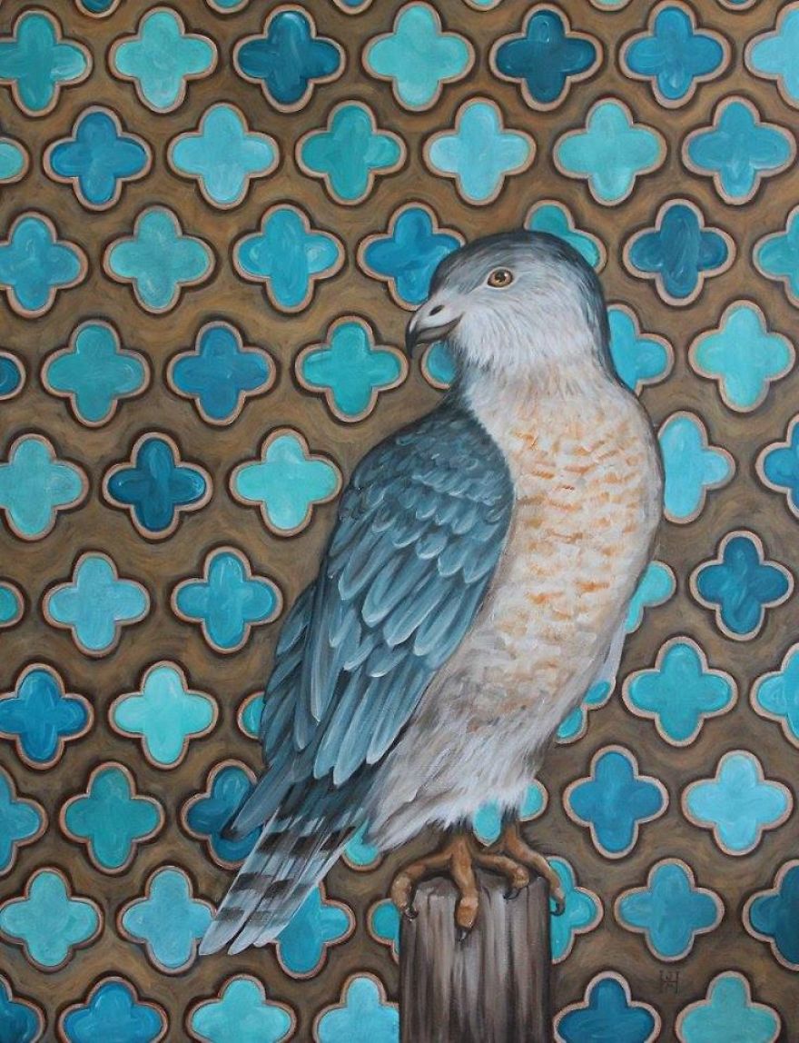 A Coy Cooper's Hawk- Original Acrylic Paint On Canvas