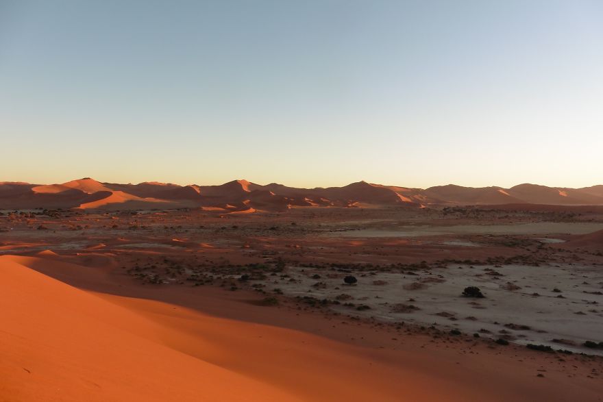 My Pictures From The Namib Desert Look Like They Were Taken On Another Planet!