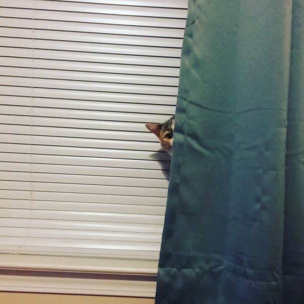 Ever Feel Like You're Being Watched?