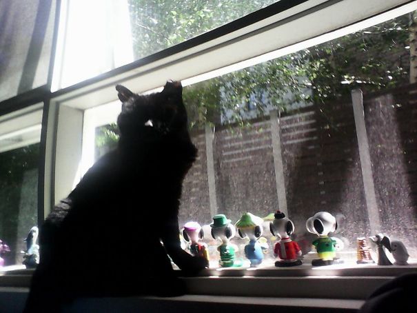 Caught With His Minions.......don't Blink