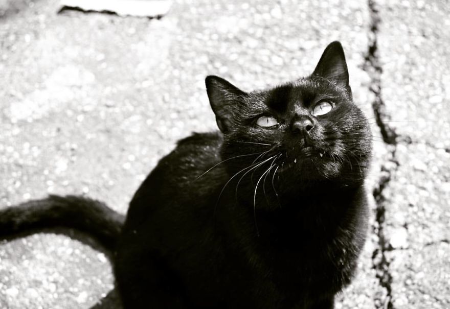 My Monochrome World.