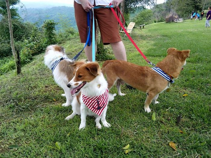 This Way, This Way... No This Way!