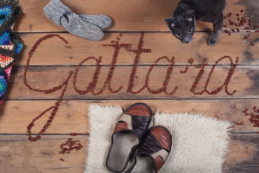 Gattara – The Italian Untranslatable Word Describes A Woman, Often Old And Lonely, Who Devotes Herself To Stray Cats