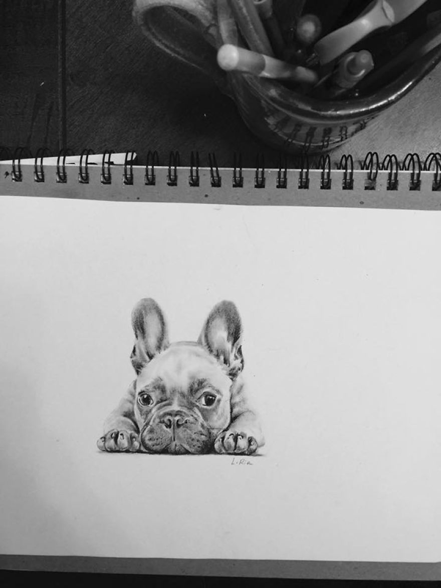 I Like To Draw People's Spirit Animals