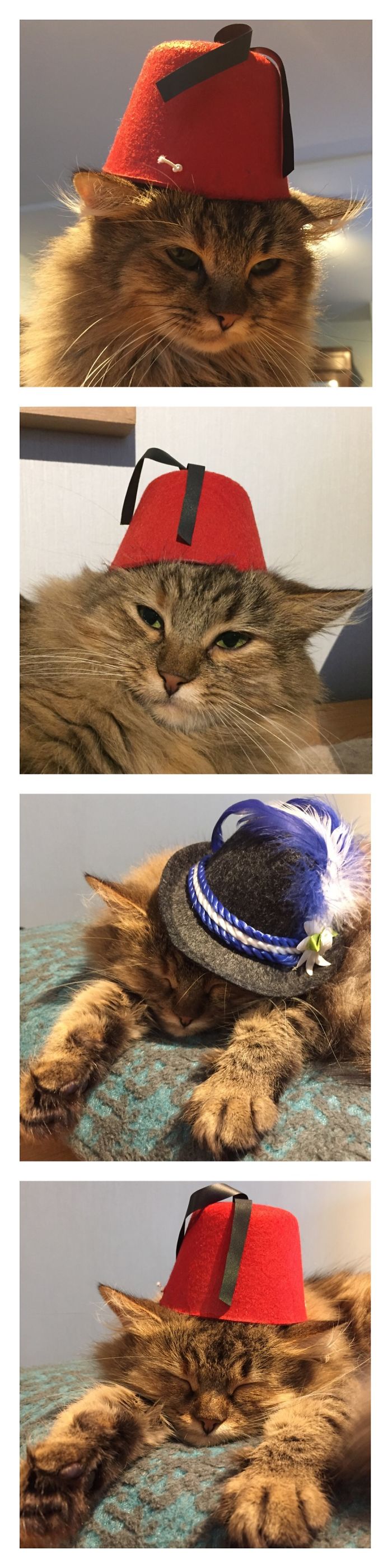 She Loves Being Dressed Up.