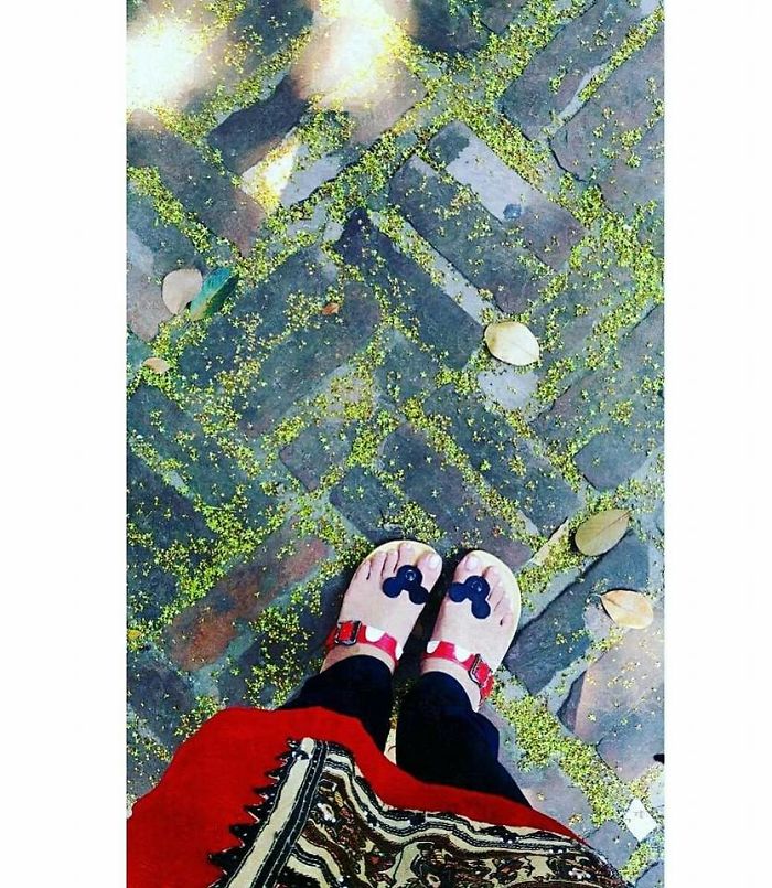 Happy Feet : My Journey To Places Happy Feet : My Journey To Places