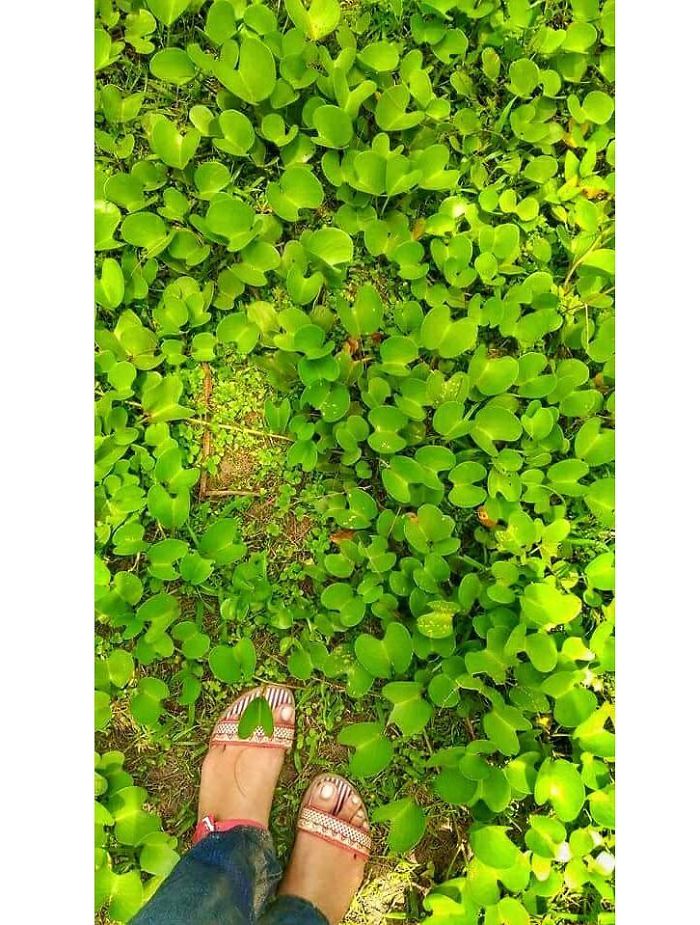 Happy Feet : My Journey To Places Happy Feet : My Journey To Places