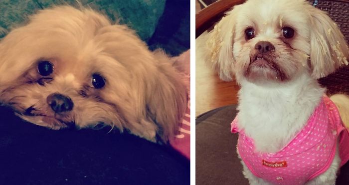 My Shen'je Yamasaki Before And After