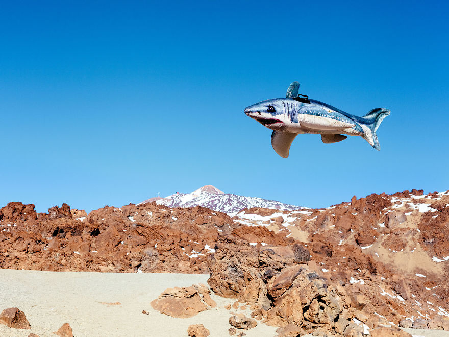 Gijs Van Den Berg, Netherlands (Open Competition, Still Life)