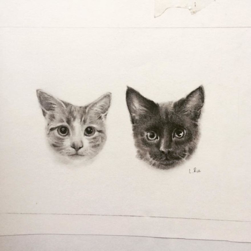 I Like To Draw People's Spirit Animals