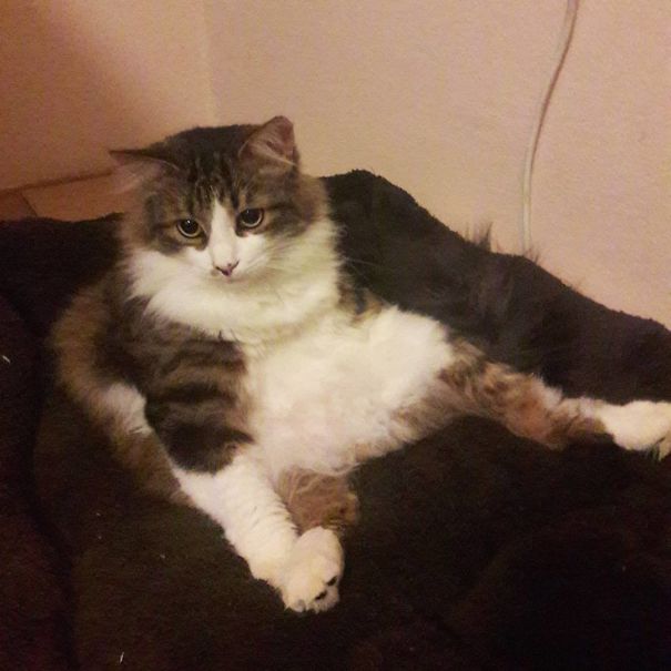 Ares Has Many Forms. One Of Them Is Liquid