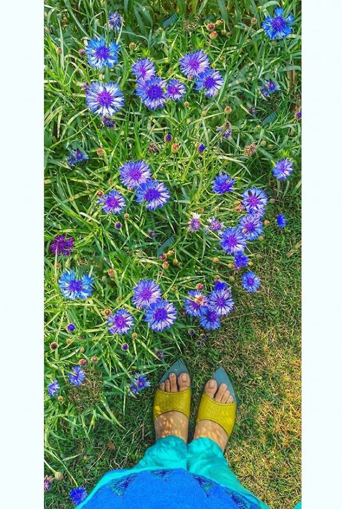 Happy Feet : My Journey To Places