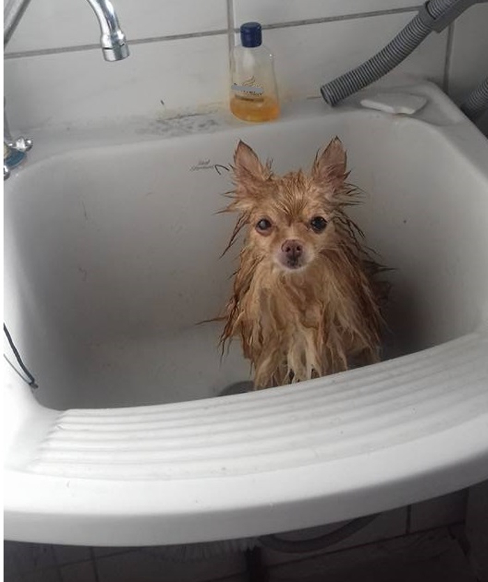 Having Shower Like A Princess