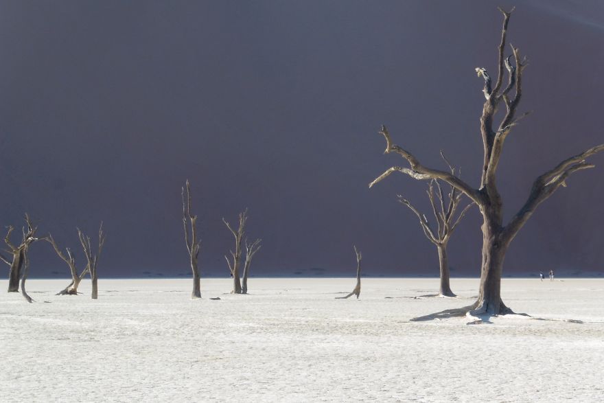 My Pictures From The Namib Desert Look Like They Were Taken On Another Planet! My Pictures From The Namib Desert Look Like They Were Taken On Another Planet!