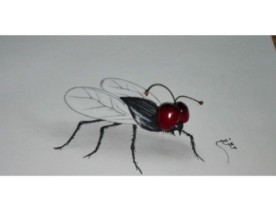 I Spent My Days To Create These Simple Drawings