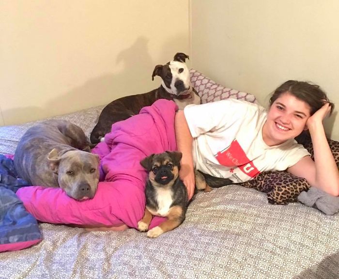 Both Of Mine (Rescues) Are Way Too Dangerous... And My Pug Mix Obviously Loves Danger! They Literally Attack Us (With Kisses) On A Daily Basis