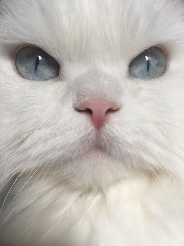 He's Mad...he's Always Mad