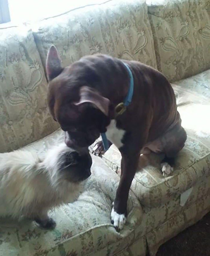 So Vicious, Omg The Carnage...