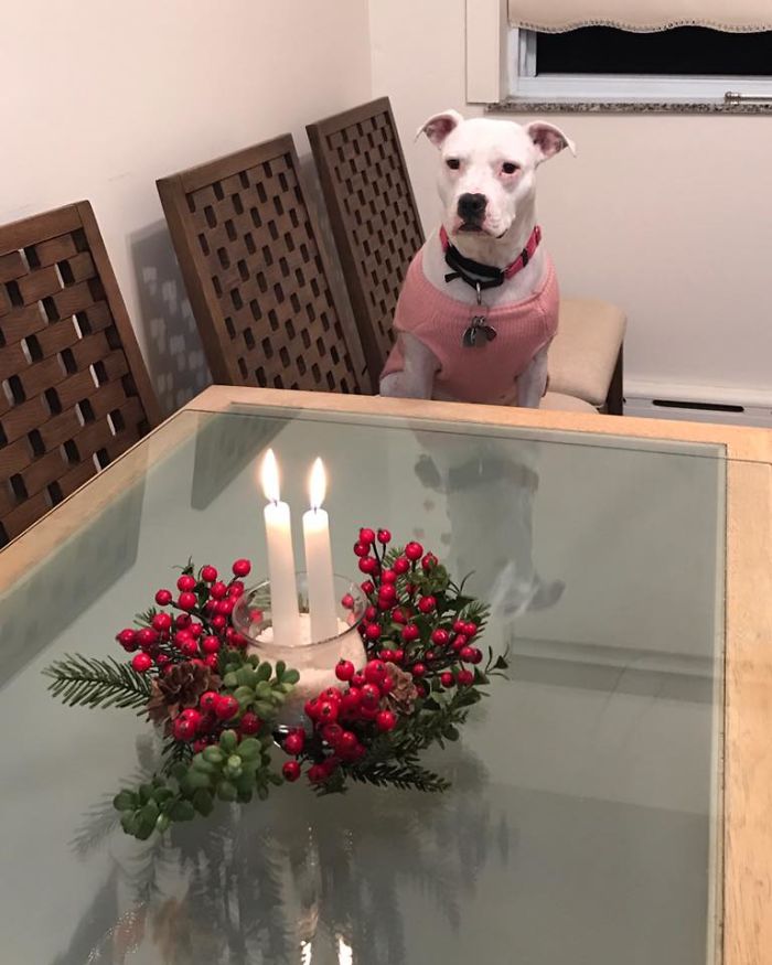 Absolutely Terrifying, She Can't Wait To Attack Dinner