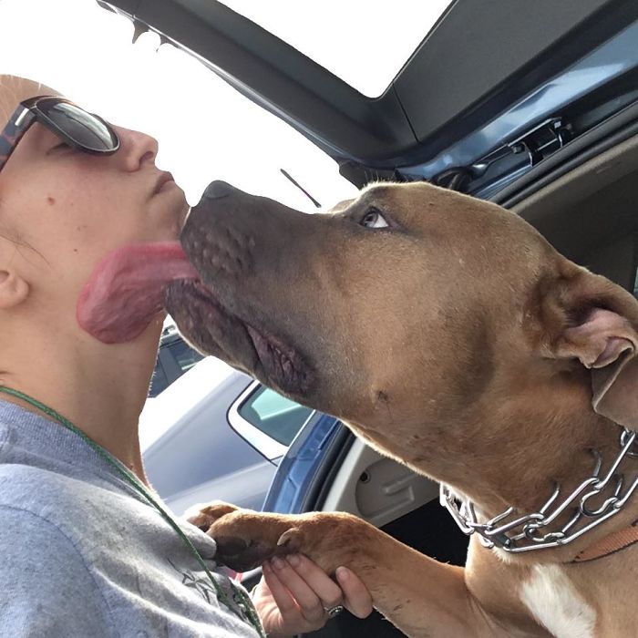 "Vicious" Attack By A Pit Bull Named Dozer