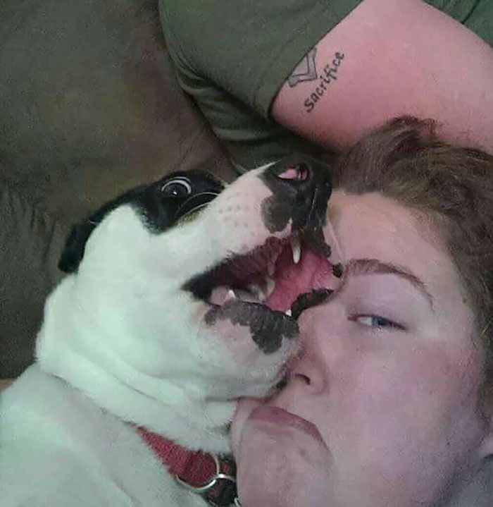 As You Can See, My Dog Often Mauls My Face. It Is A Serious Issue