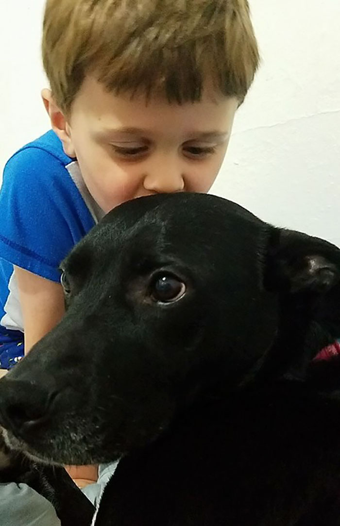 Sissy Really Lives Up To Her Name. We Got Her 8 Years Ago. She Has Proven Herself Adore Any Child She Comes In Contact With And Weirdly Bff's With Any Cat She Meets. Throw A Ball For Her And Your Her Favorite Person.