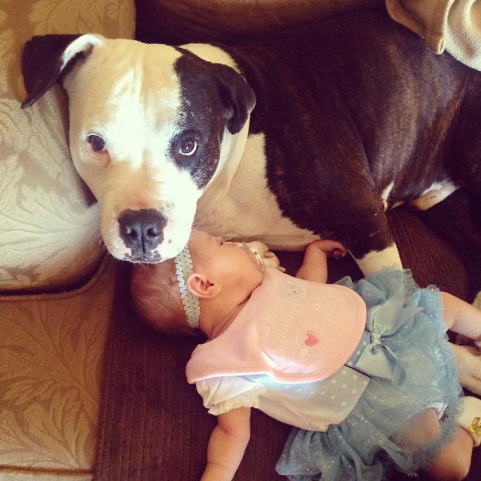 He Ate Her Shortly After This Picture. So Vicious.