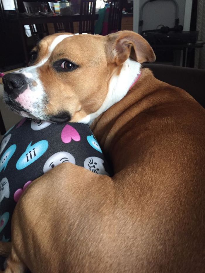 I Was Attacked This Morning!