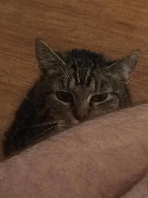 Just You Wait Human. Just You Wait.