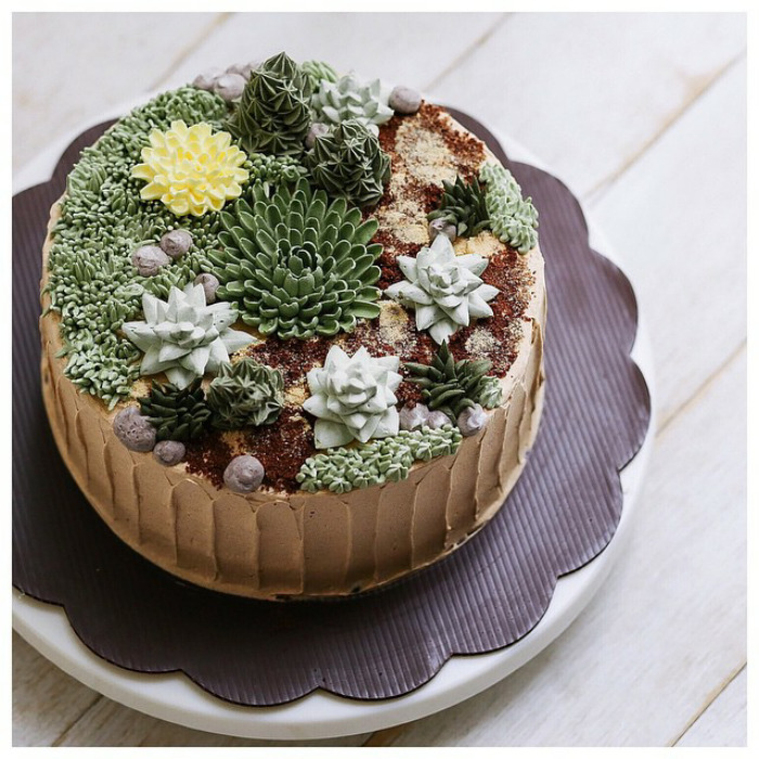 Succulent Cakes